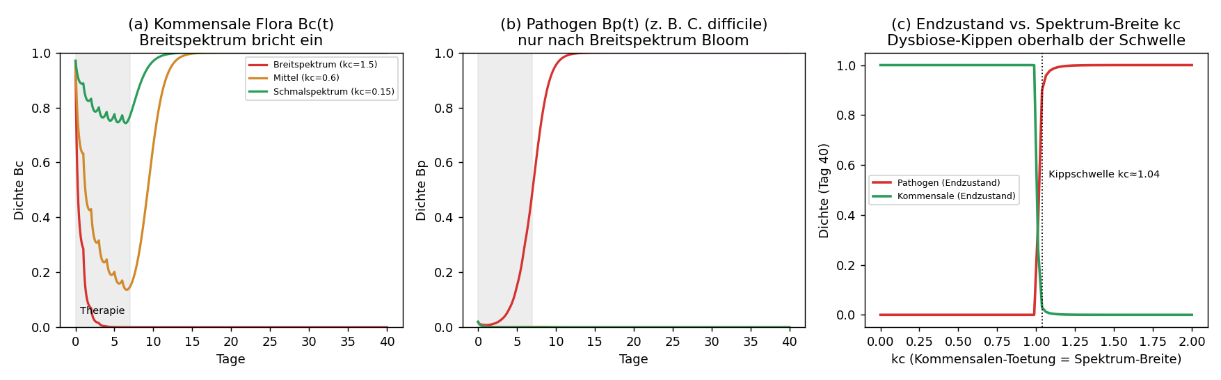PK/PD-Mikrobiom-Modell: (a) die kommensale Flora bricht nur unter Breitspektrum dauerhaft ein; (b) das Pathogen blüht nur nach Breitspektrum auf (C.-difficile-Logik); (c) Endzustand über der Spektrum-Breite kc mit scharfer Dysbiose-Kippschwelle bei kc≈1,04.